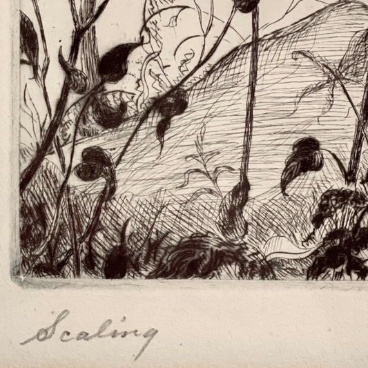 Mid-20th Century etching by Edgar Sherman Sewell
