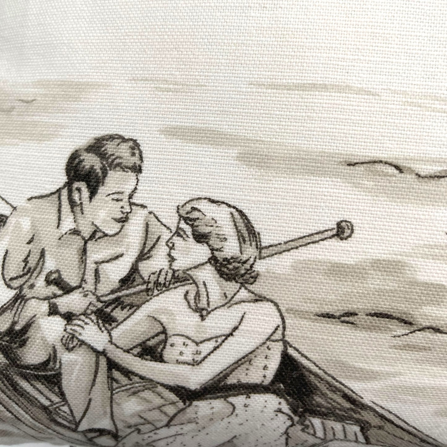 Pillow in vintage Nina Campbell “promenade” fabric