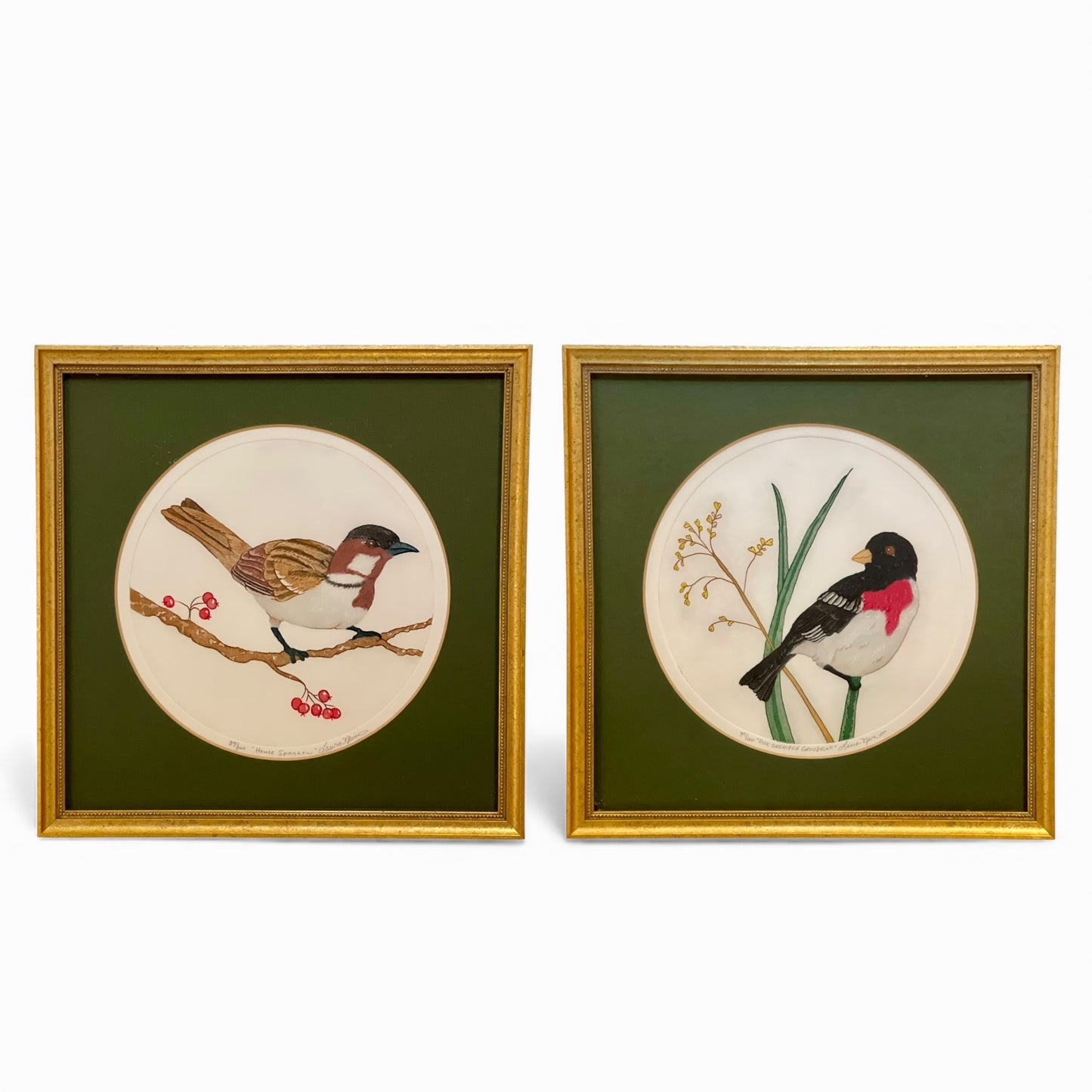 Pair of framed hand colored bird prints by Laura Nevin