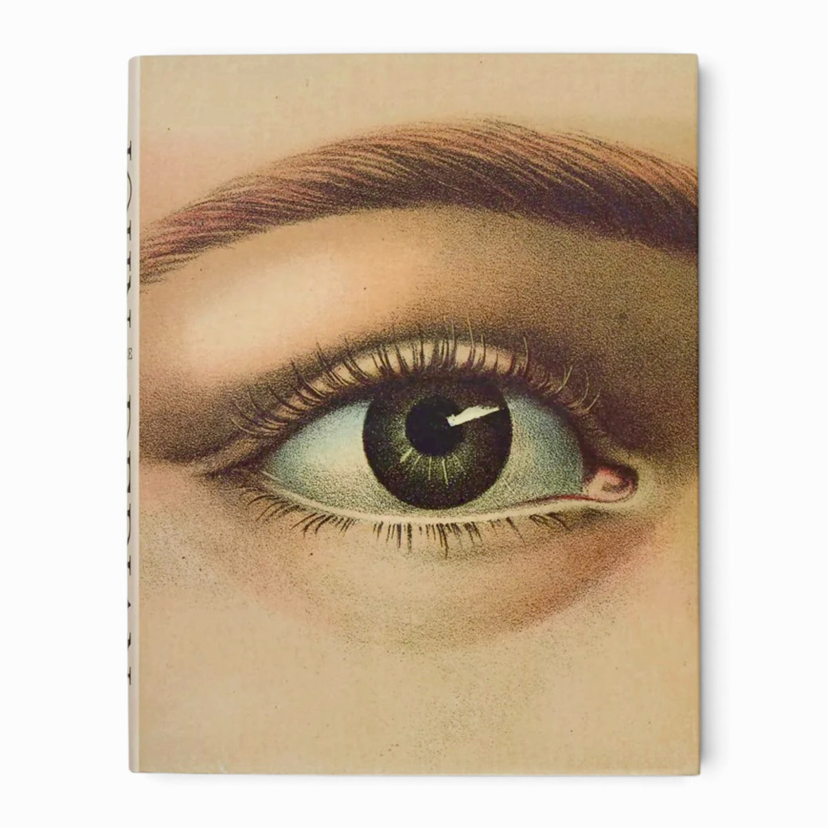 JOHN DERIAN PICTURE BOOK