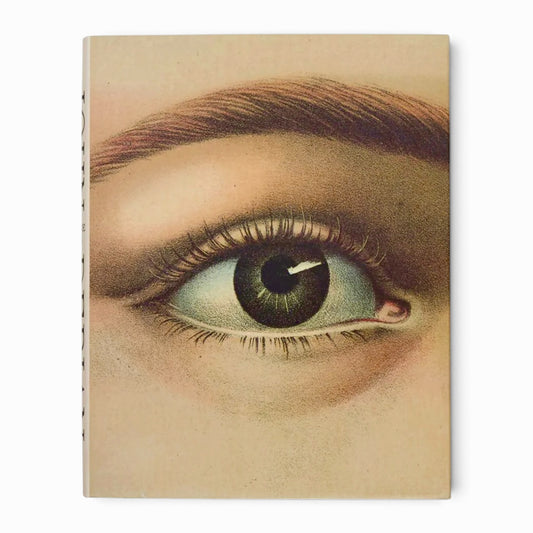 JOHN DERIAN PICTURE BOOK