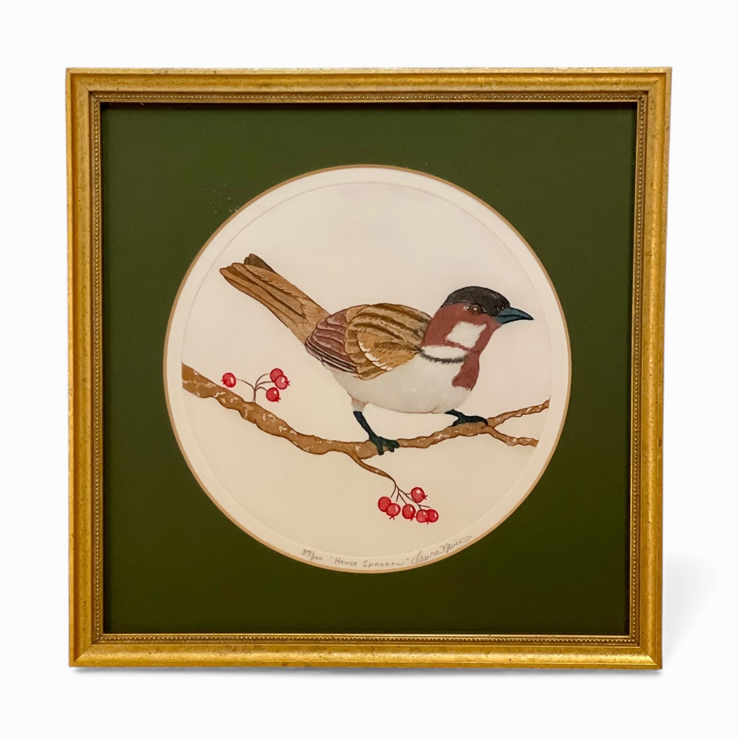 Pair of framed hand colored bird prints by Laura Nevin