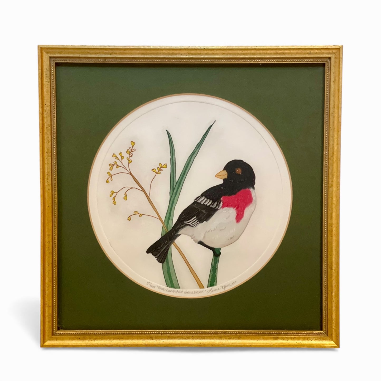 Pair of framed hand colored bird prints by Laura Nevin