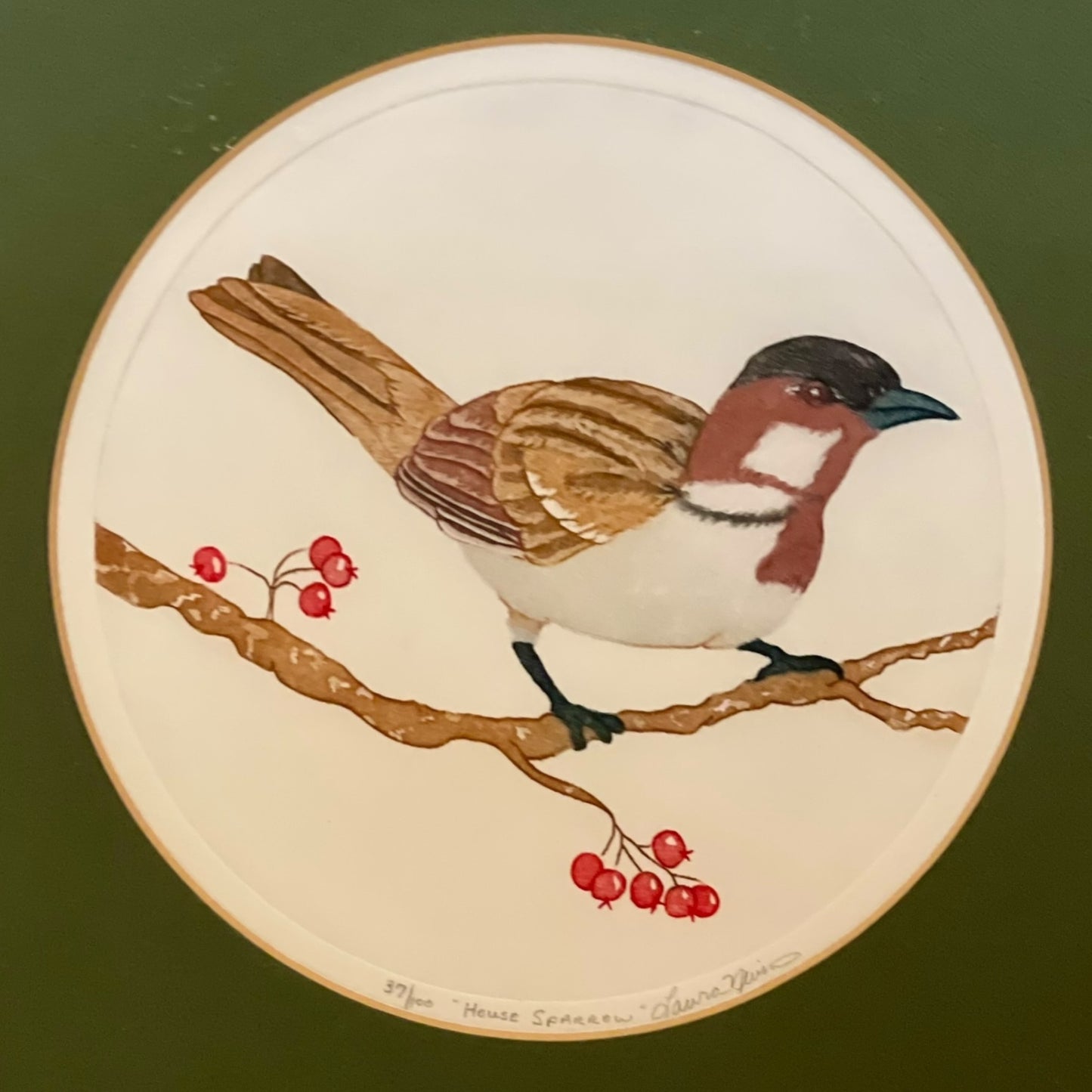 Pair of framed hand colored bird prints by Laura Nevin