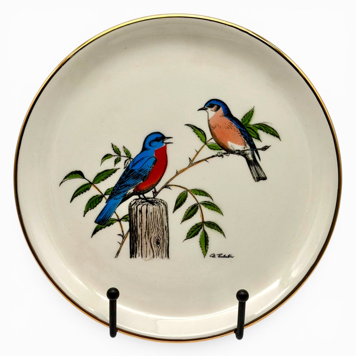 Rare set of six hand colored plates - by Delano Studio