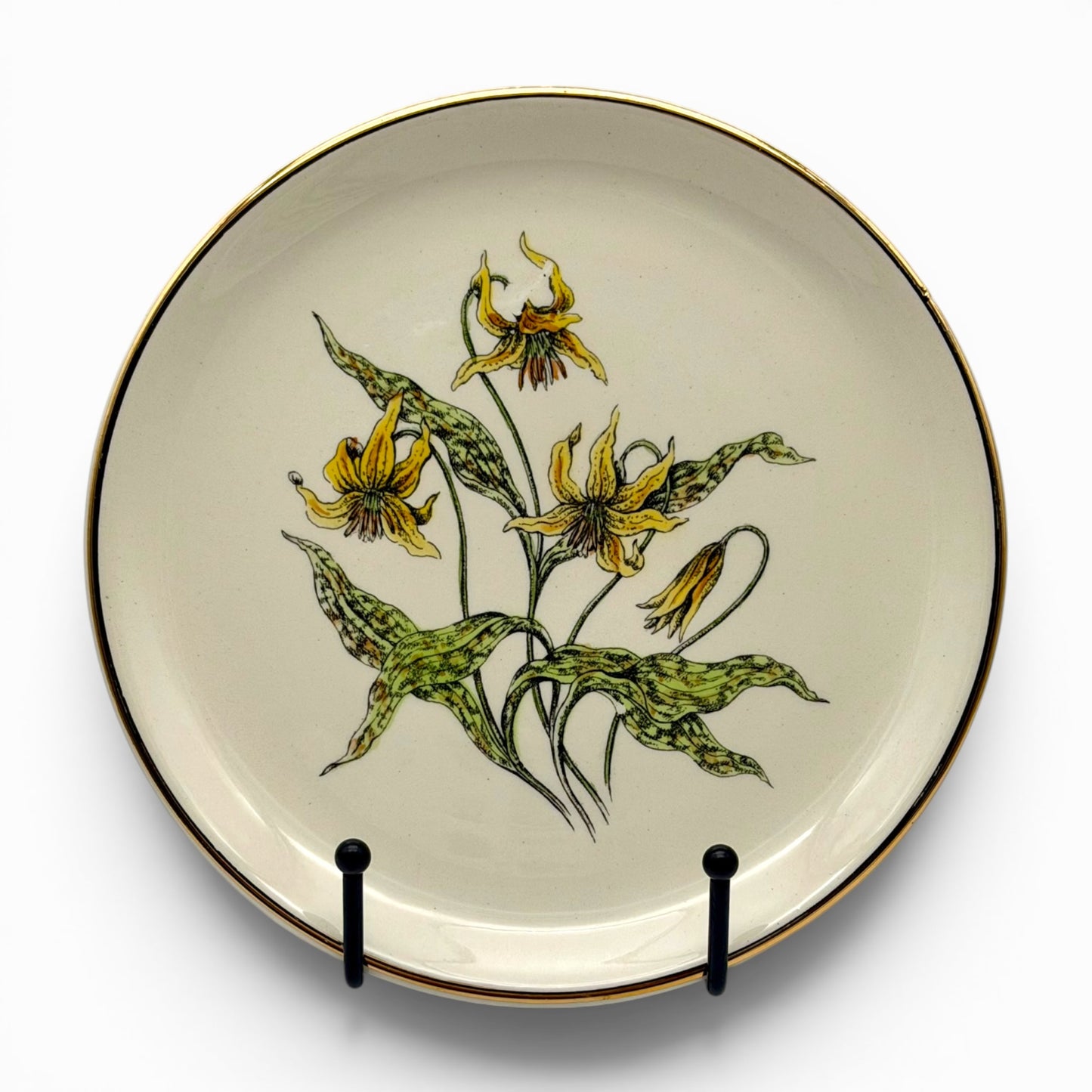 Vintage Delano Studios hand painted floral plates