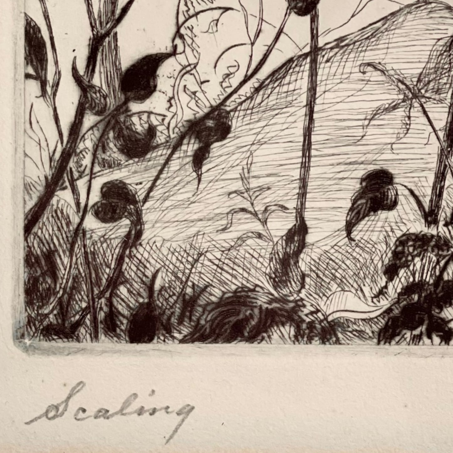 Mid-20th Century etching by Edgar Sherman Sewell