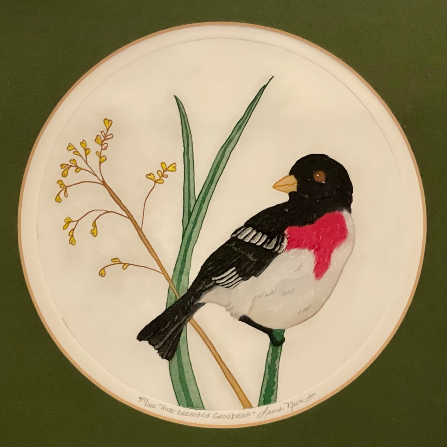 Pair of framed hand colored bird prints by Laura Nevin